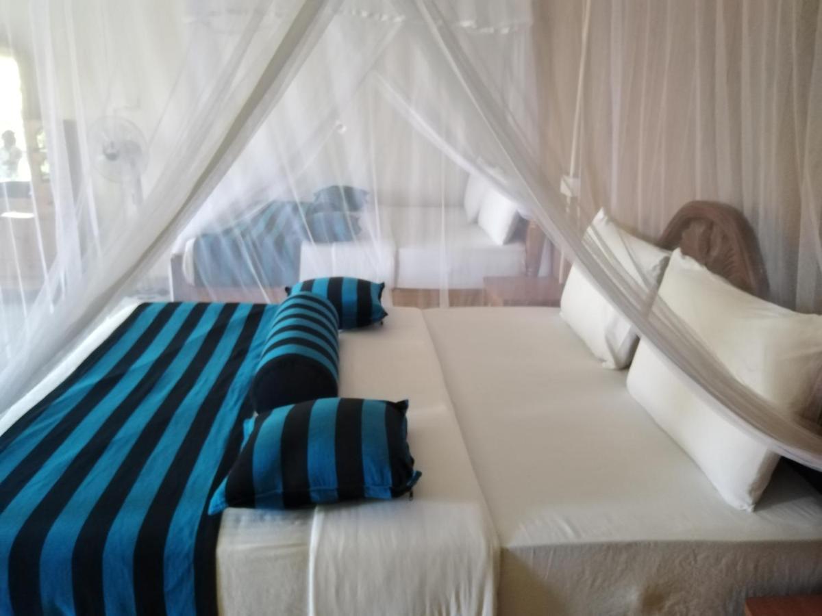 Blue Ribbon Homestay Элла Экстерьер фото