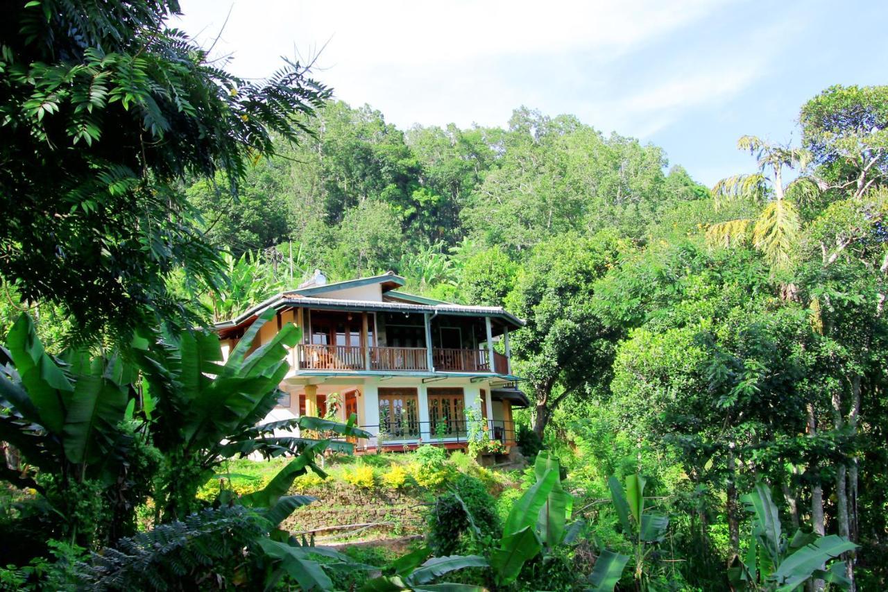 Blue Ribbon Homestay Элла Экстерьер фото